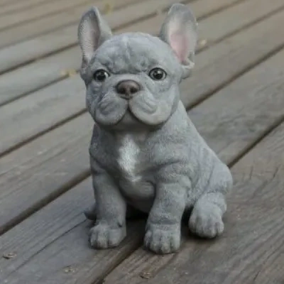 French Bulldog  puppies for sale in Vijayawada